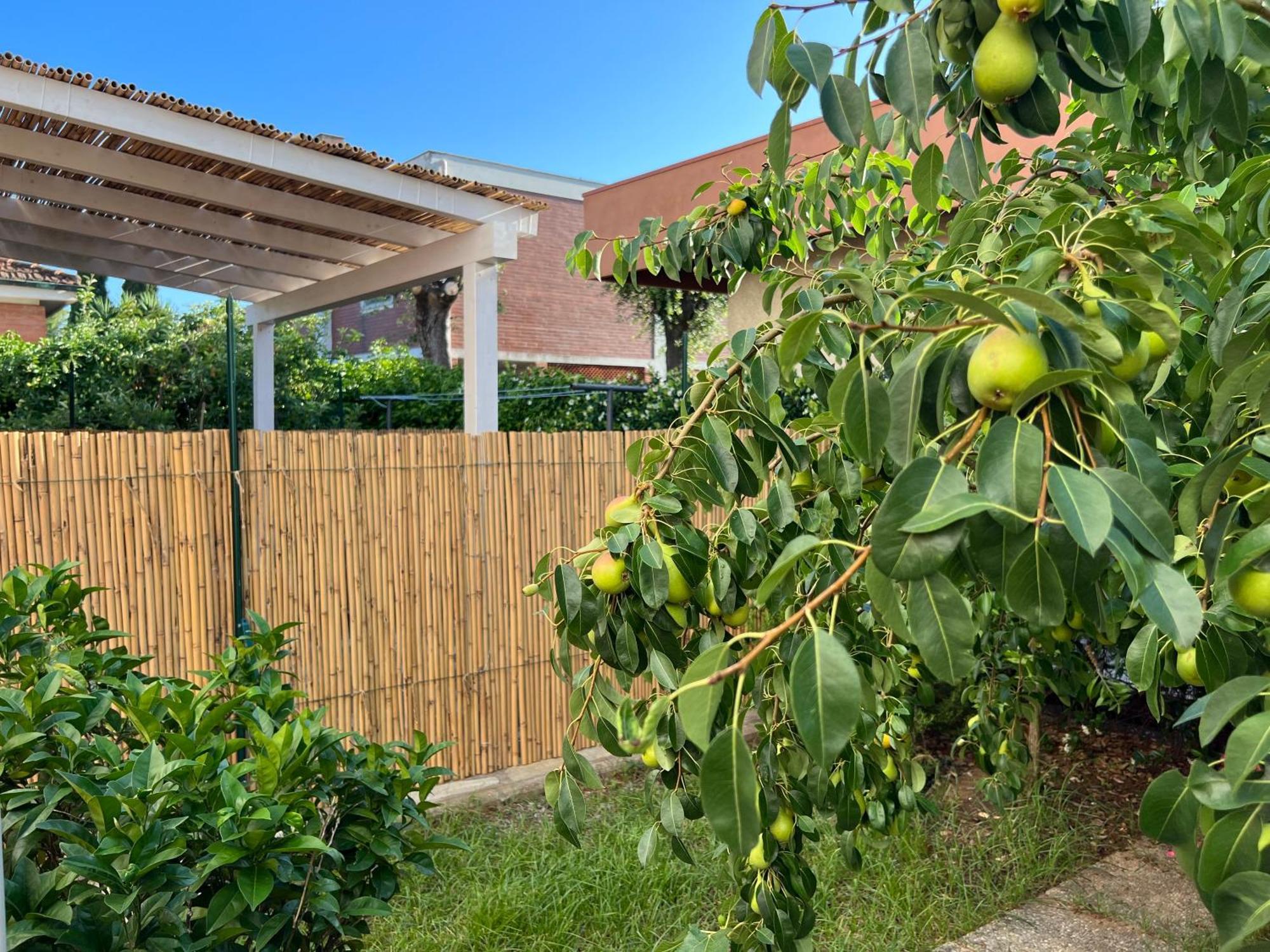 Ferienwohnung Civiconove Piombino Exterior foto